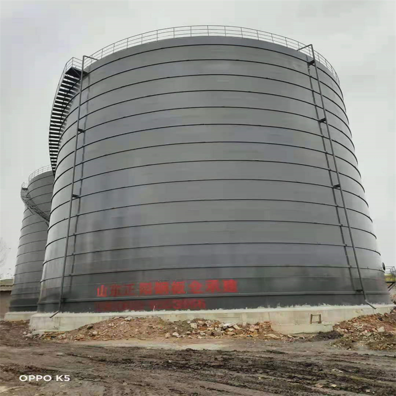 城区3万吨大型钢板库